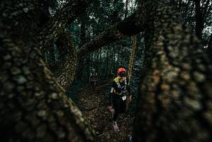 BIB: 
                            <button type="button" onclick="openModal(25680792)" class="btn btn-primary btn-sm float-right btn-popup" data-toggle="modal" data-target=".modal-high-quality">
                        <i class="fas fa-shopping-cart"></i> Add to Cart
                    </button>
                                            <button type="button" onclick="isThisMe(25680792, true)" class="btn btn-success btn-sm float-right btn-popup btn-isme hidden" data-toggle="tooltip" data-placement="bottom" title="นี่คือรูปของคุณใช่ไหม คลิกที่นี่เพื่อเอาเข้าอัลบั้ม">
                        <i class="fas fa-plus"></i> Add to album
                    </button>
                    <button type="button" onclick="isThisMe(25680792, false)" class="btn btn-warning btn-sm float-right btn-popup btn-isnotme hidden">
                        <i class="fas fa-ban"></i> Remove from album
                    </button>